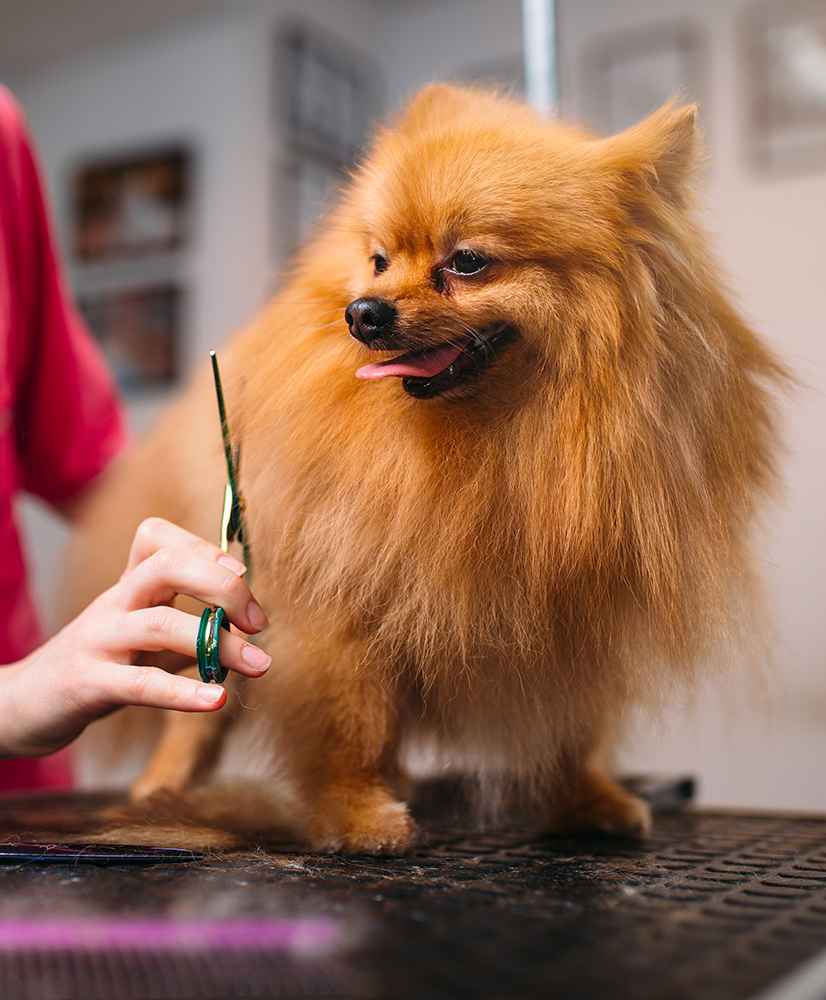 Image Title My Image