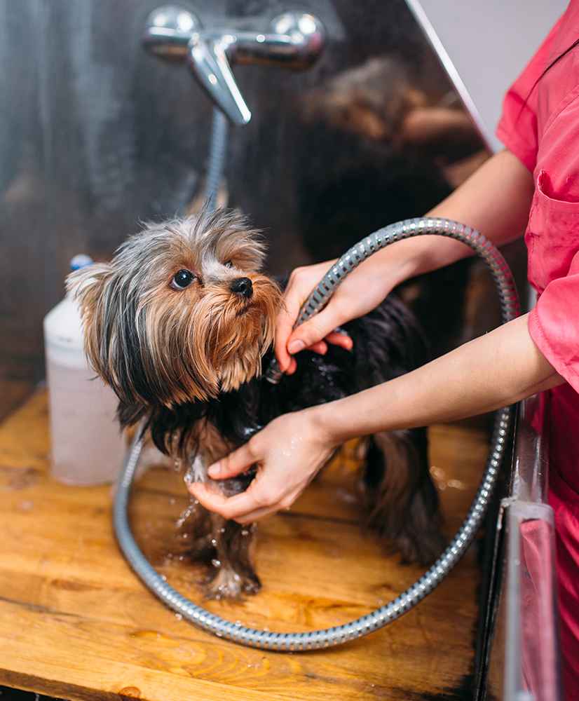 Image Title My Image