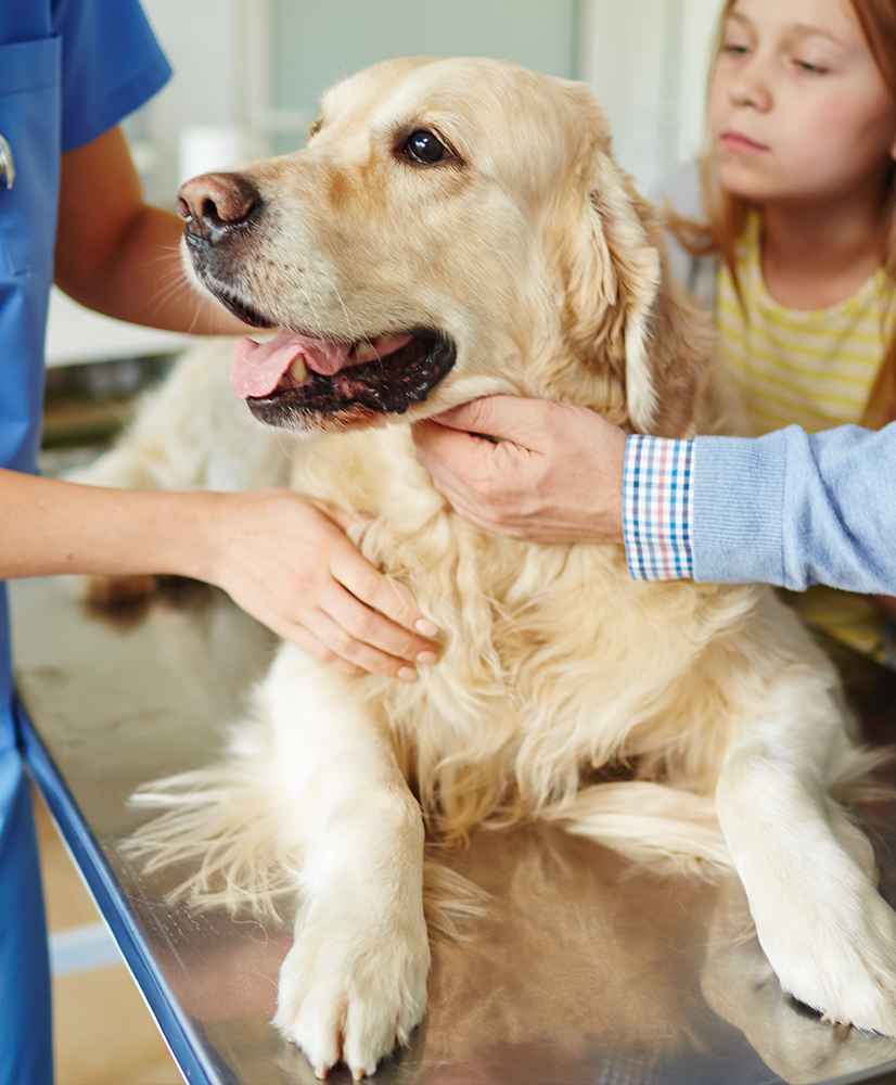 Image Title My Image